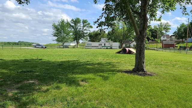 Arlington Dog Park - Image 1