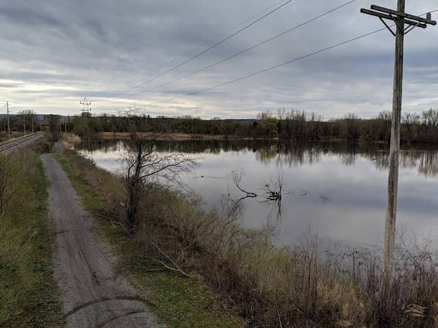 Utica Marsh Wildlife Management Area - Image 1