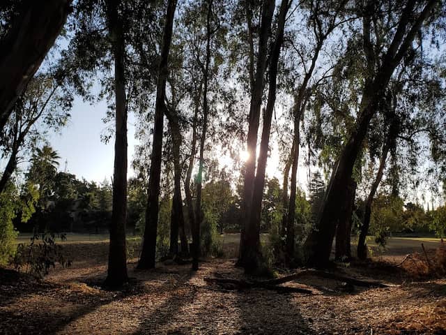 Fahrens Park - Image 2
