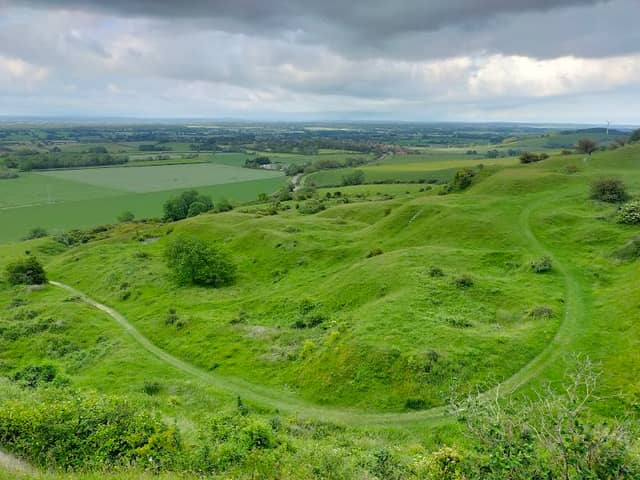 Malling Down Nature Reserve, Sussex Wildlife Trust - Image 2