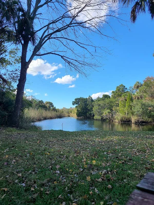Hall’s River Headwater Spring - Image 1