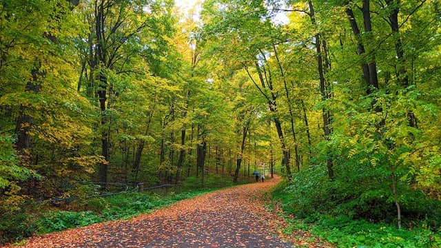 Purple Woods Conservation Area - Image 1
