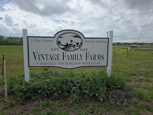 Vintage Family Farms - Image 2