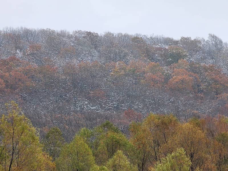 Shiloh Trail Corridor - Image 1