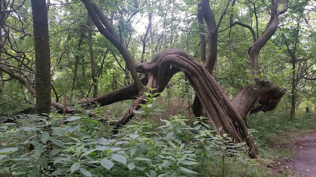 Oak Valley Park - Image 2