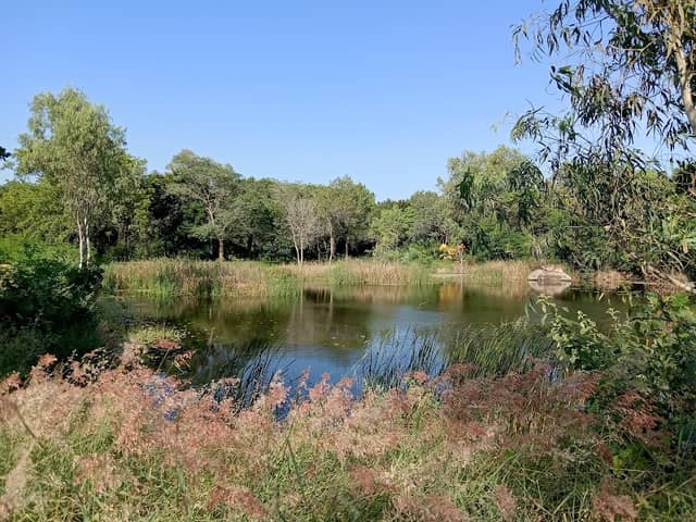 Nandanavanam Fish pond - Image 1
