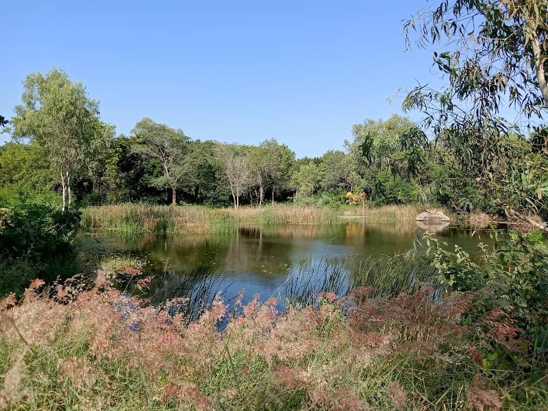 Nandanavanam Fish pond - Image 1