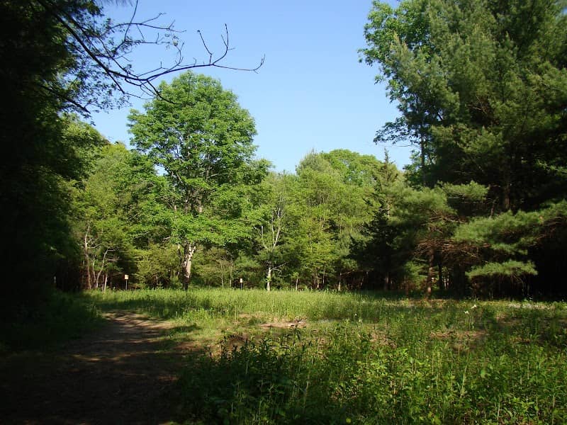 Nickerson Walking Woods Preserve - Image 2