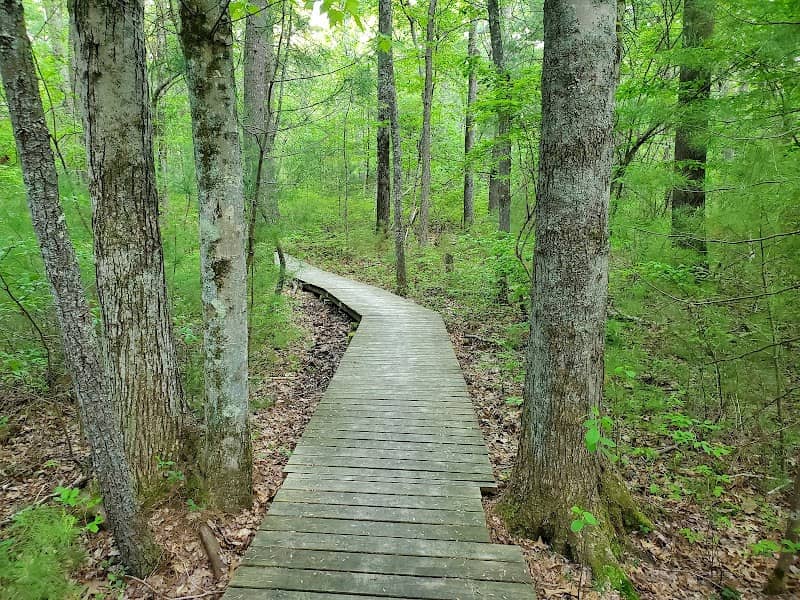 Nickerson Walking Woods Preserve - Image 1