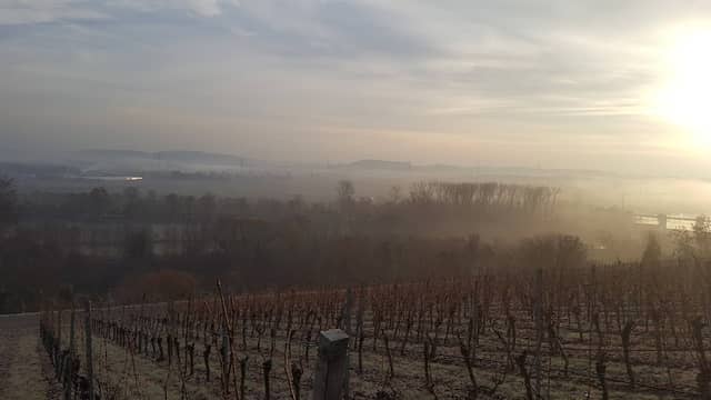 Altneckar Nature Reserve - Image 2