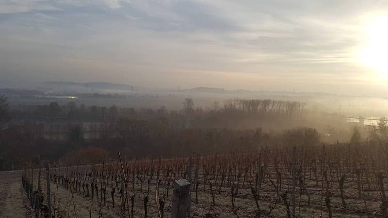 Altneckar Nature Reserve - Image 2