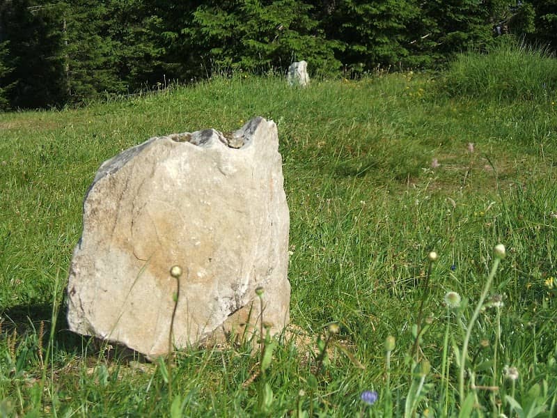 Ganzaleita - Image 2