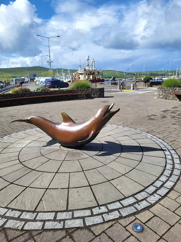 Fungie - The Dingle Dolphin - Image 1