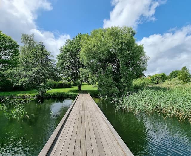 Willow Garden - Image 2