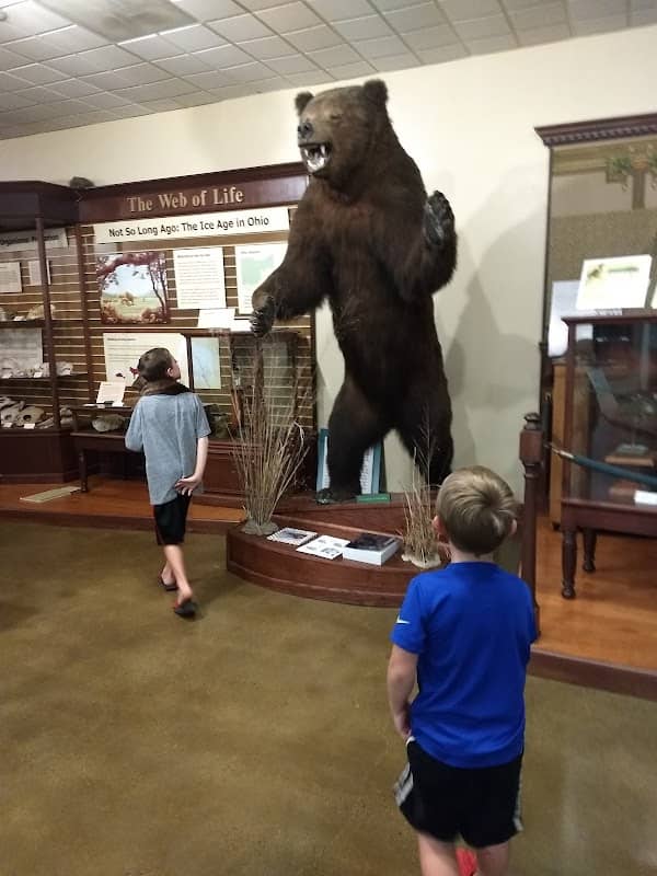 Hefner Museum of Natural History - Image 1