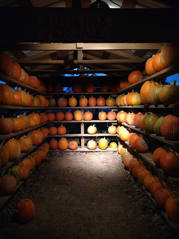 Sand Mountain Corn Maze - Image 2