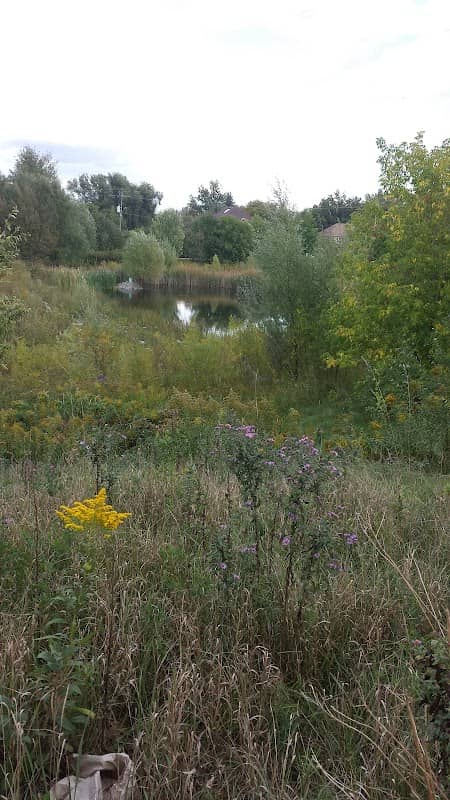 Delbert Baker Pond & Garden - Image 1