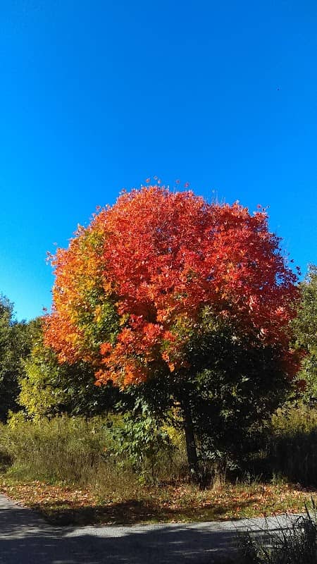 Delbert Baker Pond & Garden - Image 2