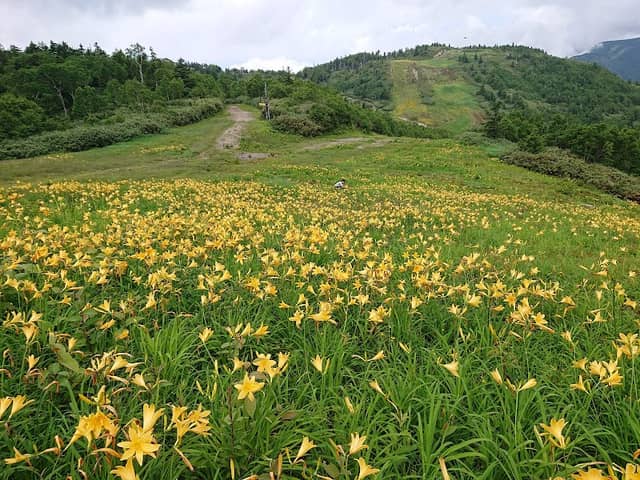 Shiga Kogen Terakoya - Image 3