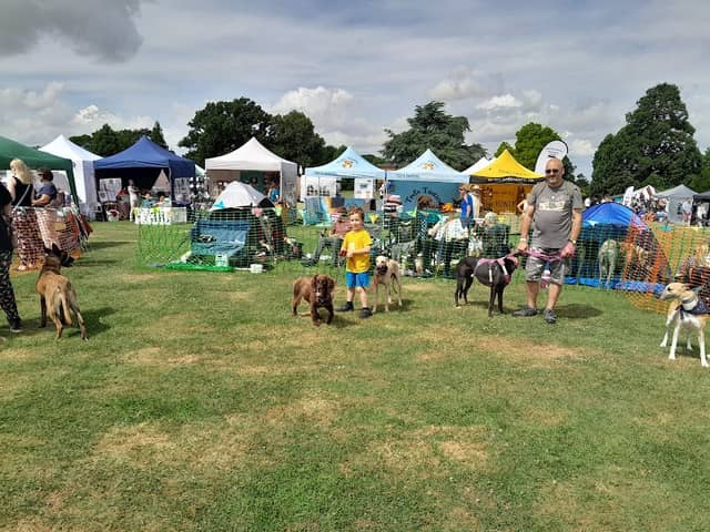 Greyfest - Image 2
