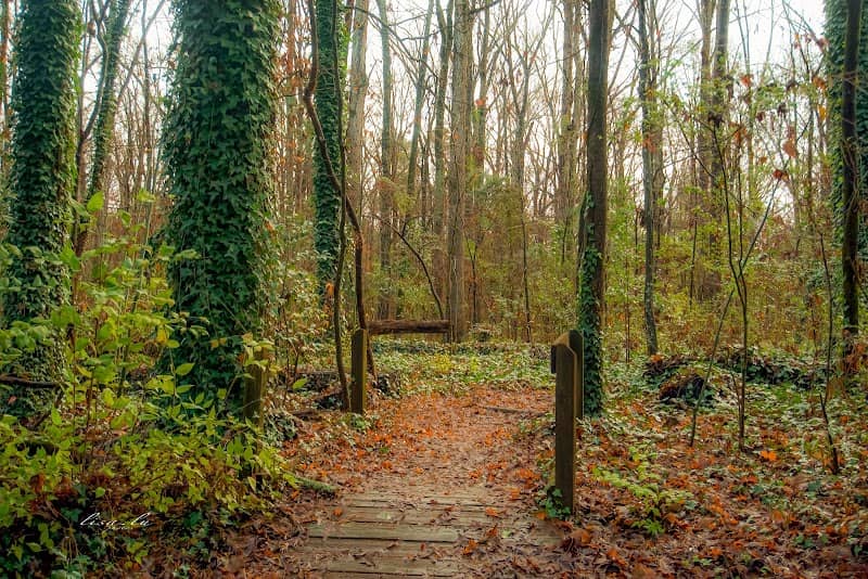 Oconee Forest Park - Image 2