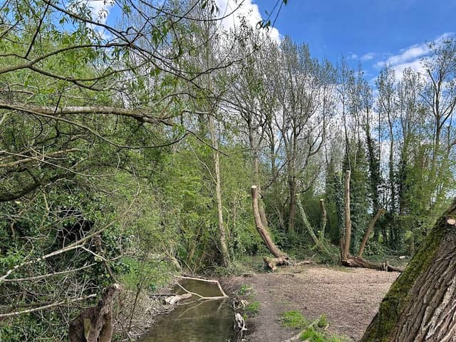 Bure Park Nature Reserve - Image 2