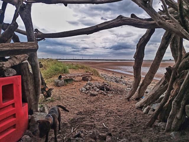 Tees Estuary - Image 2