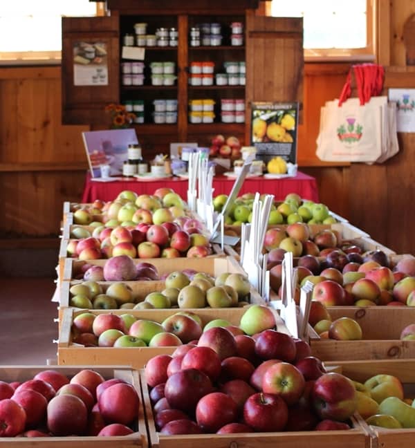 Scott Farm Orchard - Image 2