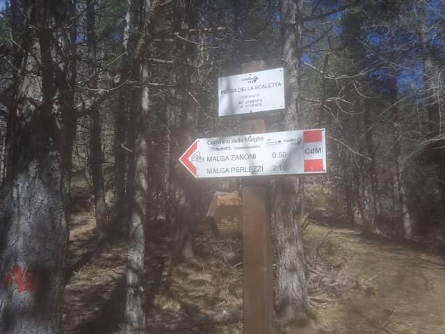 Foresta del Monte Rochetta - Image 2
