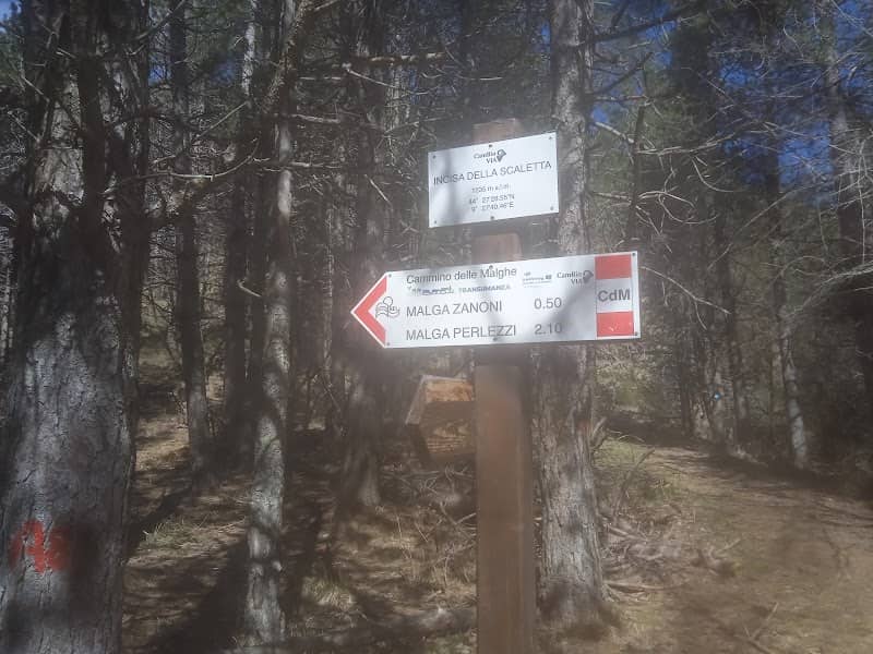 Foresta del Monte Rochetta - Image 2