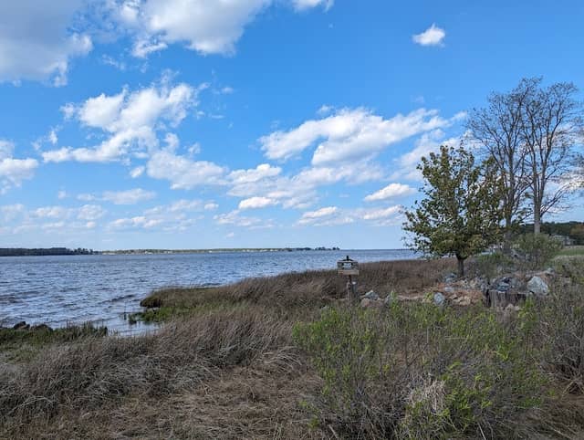 Hunts Neck Point - Image 1
