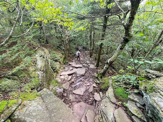 Giant Ledge Trailhead - Image 2