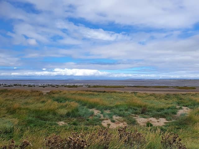Steart Point Bird Hide - Image 1
