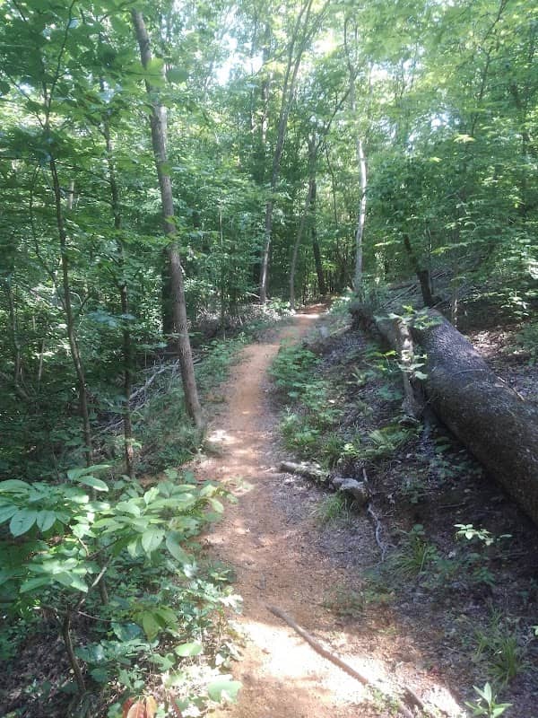 Raisin Woods Mountain Bike Park - Image 2