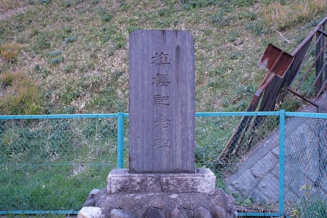 Sakura Plantation Monument - Image 1