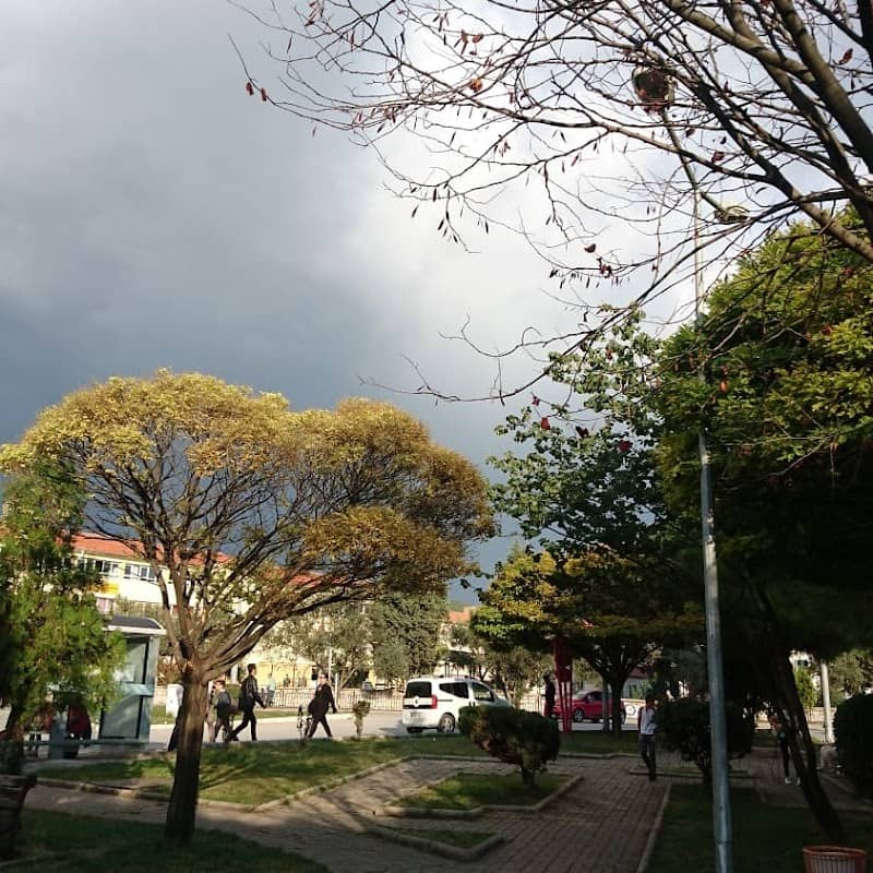 Park - Image 1
