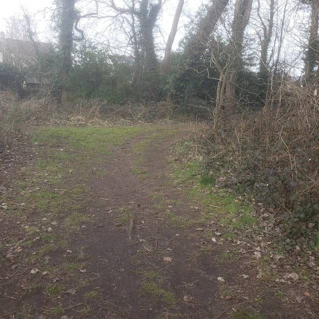 Barkfield Park - Image 1