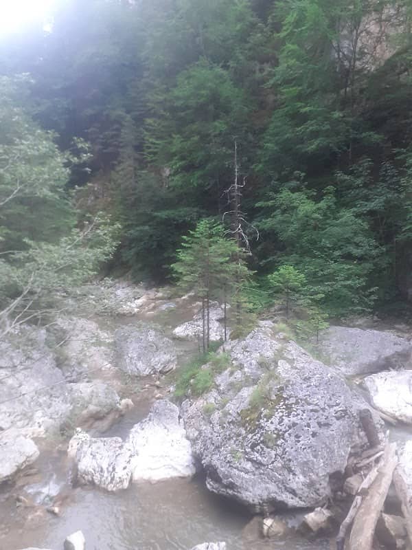 Belvedere Pod Suspendat - Image 2