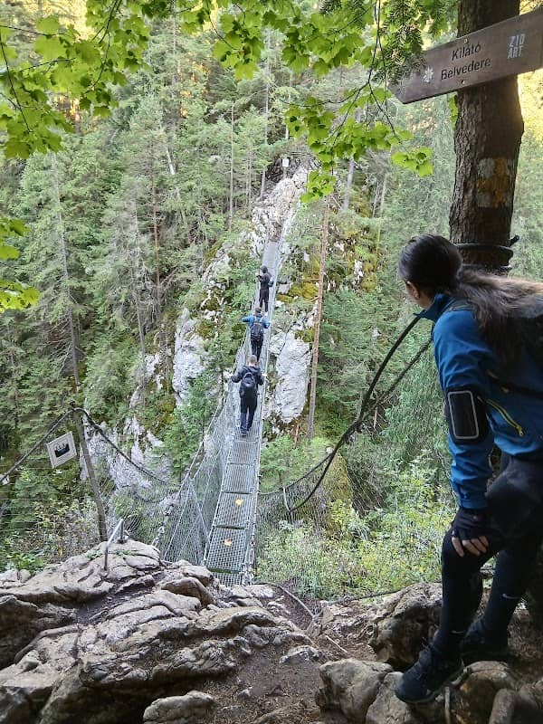 Belvedere Pod Suspendat - Image 3