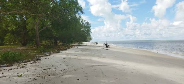 Tax Beach - Image 1