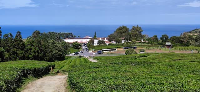 view point - Image 3