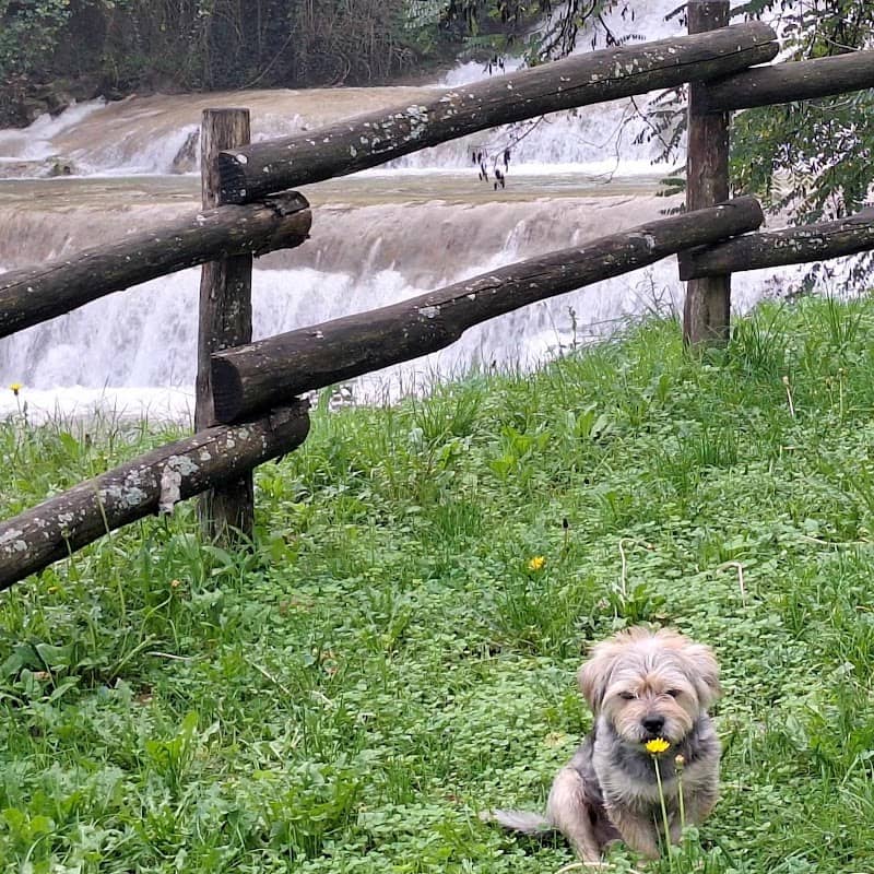 Gorga "dei preti" (cascata) - Image 2