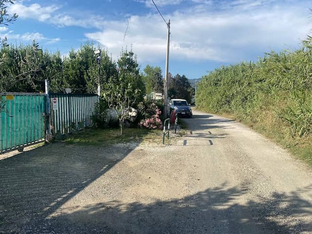 Orso polare da guardia - Image 2