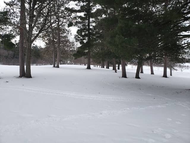 Morningside Park - Image 2