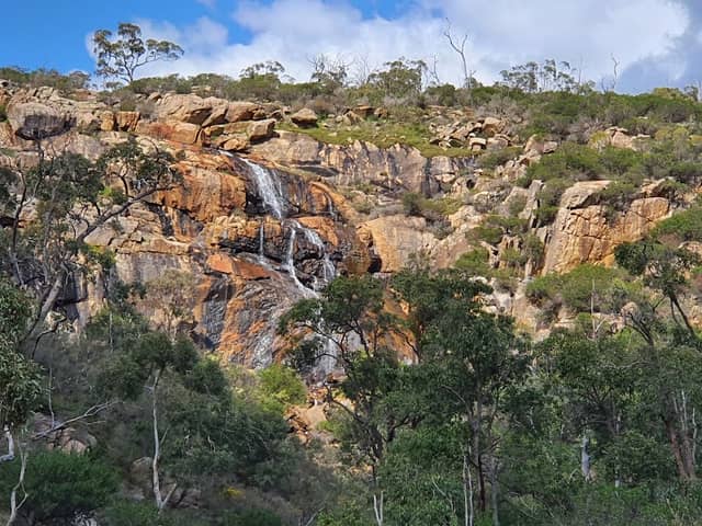 Ellis Brook Valley Reserve - Image 1