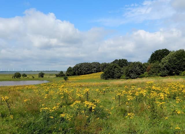 Markiezaat - Image 1
