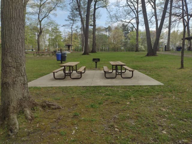 Egbert Picnic Area - Image 1