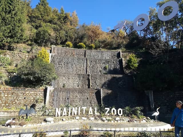 G B Pant High Altitude Zoo - Image 1