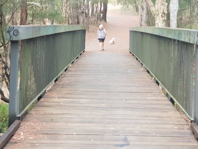 Coolnwynpin Nature Refuge - Image 2