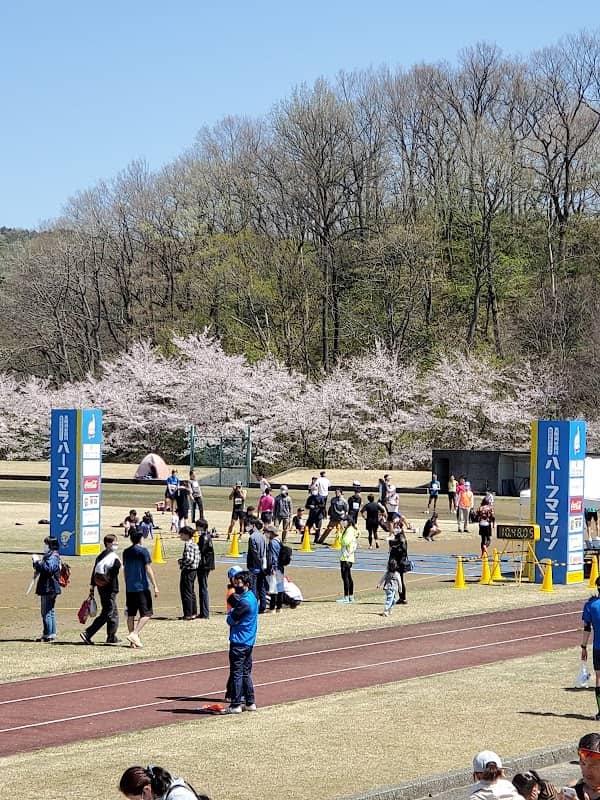 Mitsuke Sports Park - Image 1